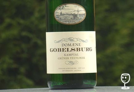 P1130957 Domaene Gobelsburg 2013 GruVe