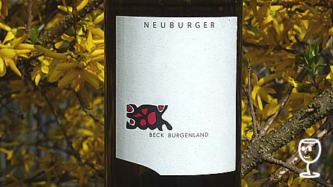 P1140195 Neuburger 2012 J Beck