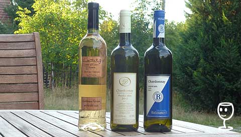 P1170785 TRIO CHARDONNAY