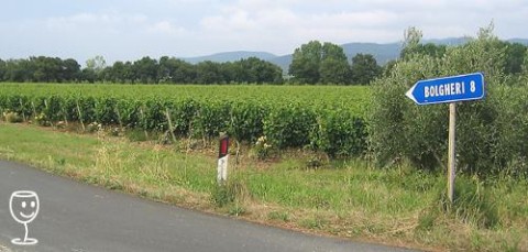 Bolgheri 2007