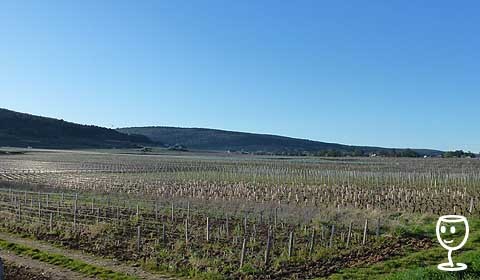 P1200513 Večer v Gevrey, drátěnka