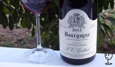 P1200527 Bourgogne RG 2013 Guillard