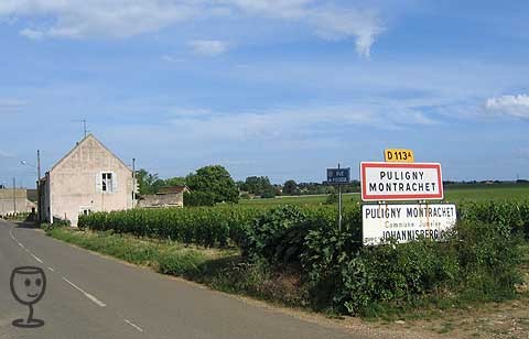 IMG_2588 Puligny Cedule