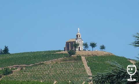 BLOG P1230371 Madonna ve Fleurie