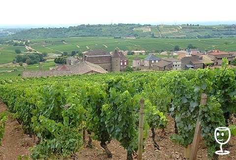 BLOG P1230797 Pouilly shora