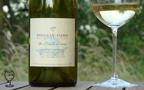 P1220973 Pouilly Fumé 2011 Treuillet