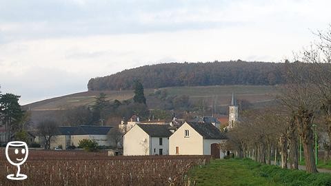Corton v listopadu