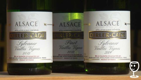 BLOG P1250093 Sylvaner 2x Dirler Cadé 960