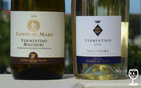 BLOG P1250251 2x Vermentino