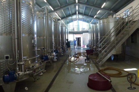 BLOG P1250562 prohlídka tanků Gracciano