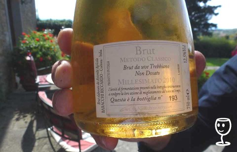 BLOG P1250808 Sekt Trebbiano