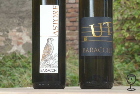 BLOG P1260240 2x Baracchi