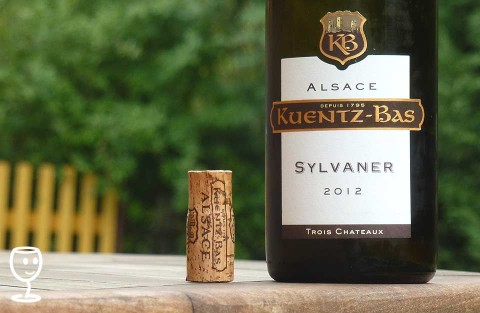 P1250115 Sylvaner 3 CHATT Kuentz bas