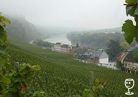 BLOG P1260456 Urzig am Mosel