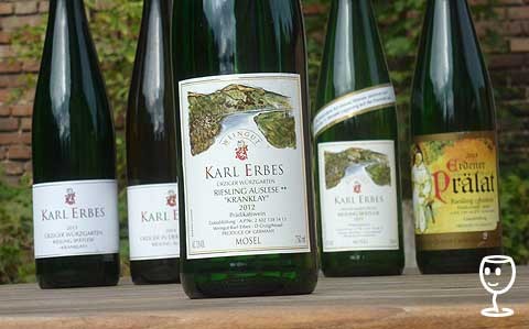 P1260261 5x ERBES