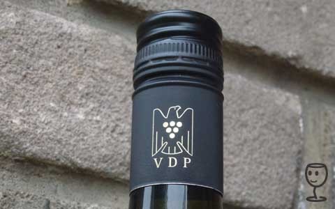 P1260496 VDP Orlice