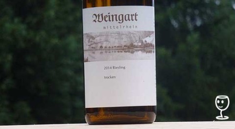 P1260518 Riesling trocken Weingart