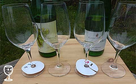 P1260705 Traubwensaft Probe