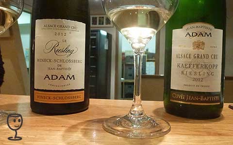 BLOG P1260919 2x Riesling JB ADAM