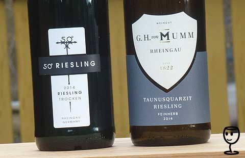 P1270099 Taunusquarzit Mumm