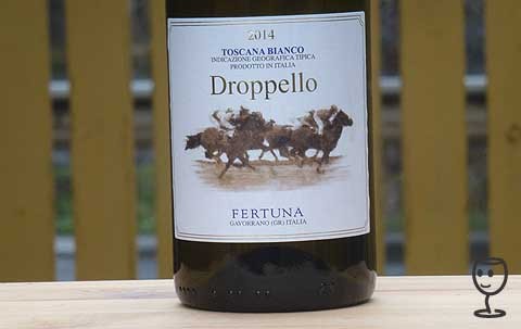 P1270134 Droppello 2014
