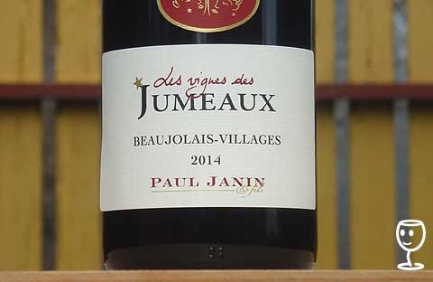 BLOG P1270465 Janin Vignes des Jumeaux 2014