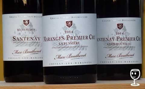P1270668 3 burgundy Bouthenet