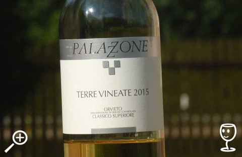 BLOG P1290422 Terre Vineate 2015