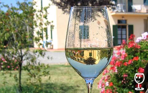 Vernaccia v Toskánsku