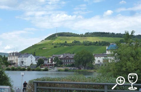 BLOG P1290575 Traben-T