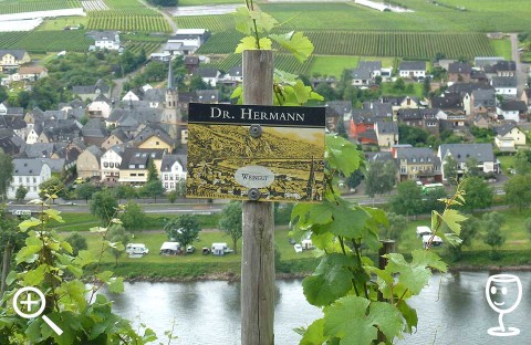 BLOG P1290686 Cedule Dr Hermann