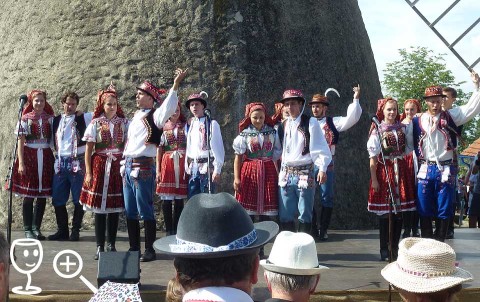 BLOG P1290900 Větrák tamečníci