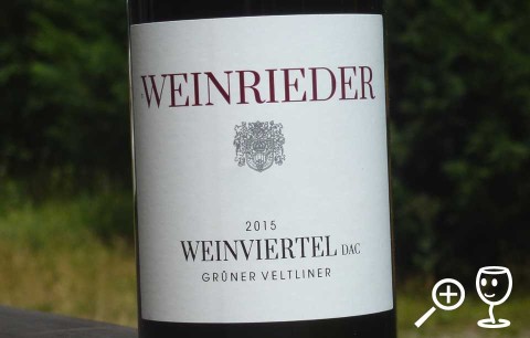 BLOG P1290944 GV Weinrieder