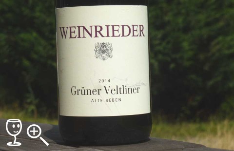 BLOG P1290949 GV Alte Reben Weinrieder