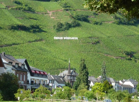 FB P1290592 UW pohled od vody