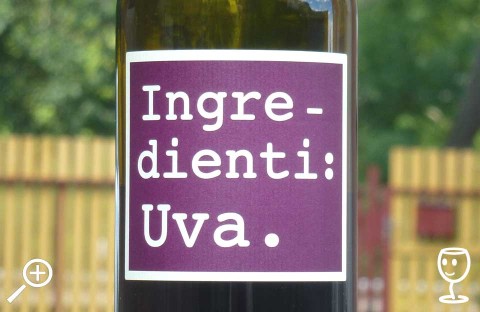 P1290526 Ingredienti Uva
