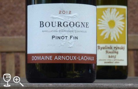 p1300319-pinot-fin-2012-arnoux-a-rr-robek