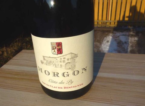 P1310253 COTE DU PY 2015