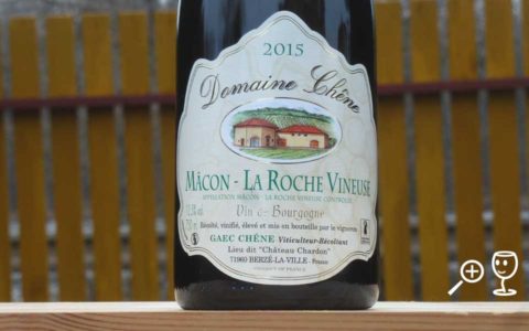 BLOG P1310618 Roche Vieneuse 2015 D Chene