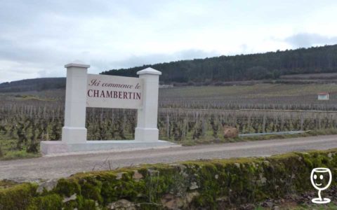 blog P1310488 cHAMBERTIN