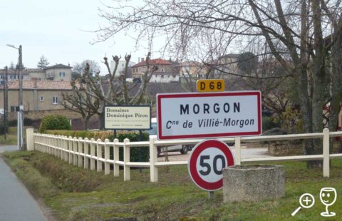 BLOG P1310528 Morgon Cedule
