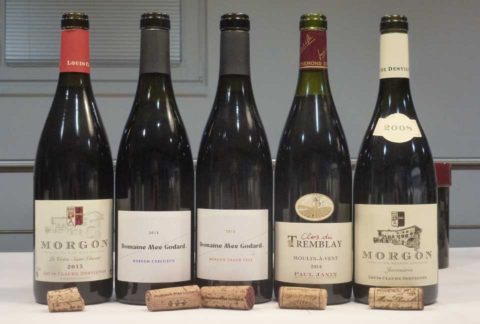 FB P1310755 Beaujolais