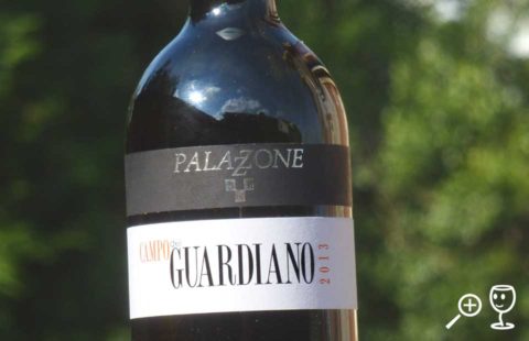 P1290431 Campo Guardiano Palazzone