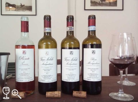 BL IMG_20170420_110151 Gracciano Line Up