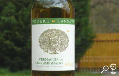 BL P1320514 Vernaccia 2016 Canneta
