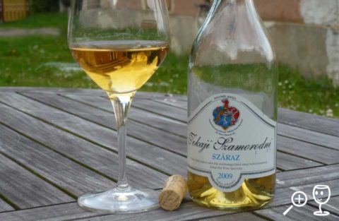 BL P1320557 Tokaji 2009