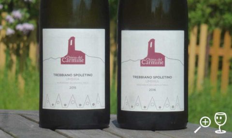 BL P1320673 2x Trebbiano Spoletino