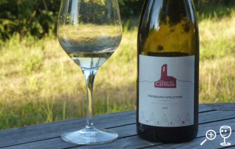 BL P1330307 Trebbiano Sp 2015