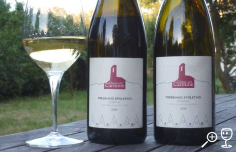 BL P1330311 Trebbiano Sp 2015 16
