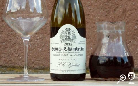 BL P1330717 Gevrey 2013 Guillard